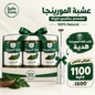 عرض المورينجا والبلندر الشامل